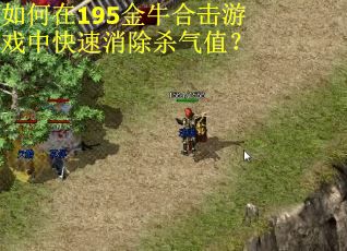 如何在195金牛合击游戏中快速消除杀气值？