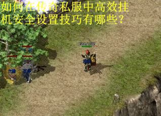 如何在传奇私服中高效挂机安全设置技巧有哪些？