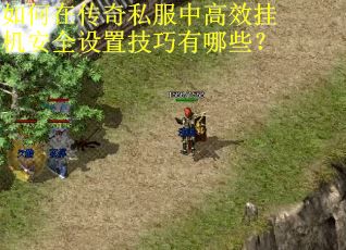 如何在传奇私服中高效挂机安全设置技巧有哪些？