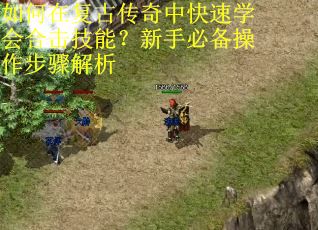 如何在复古传奇中快速学会合击技能？新手必备操作步骤解析
