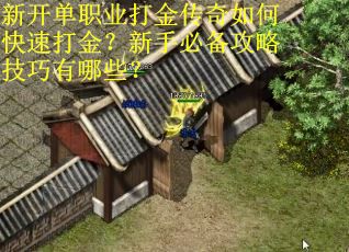 新开单职业打金传奇如何快速打金？新手必备攻略技巧有哪些？