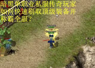 暗黑单职业私服传奇玩家如何快速刷取顶级装备并称霸全服？